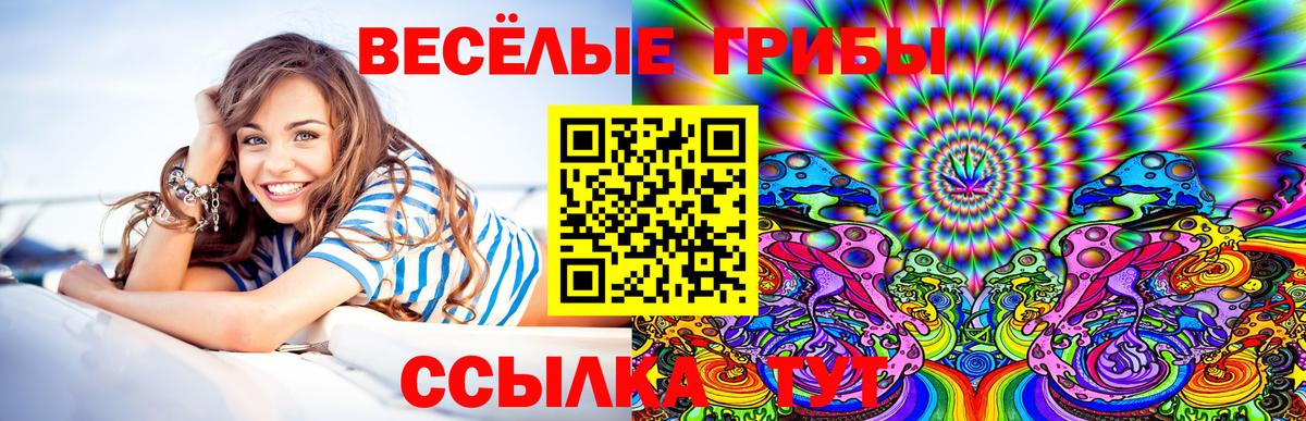 Галлюциногенные грибы Magic Shrooms Видное