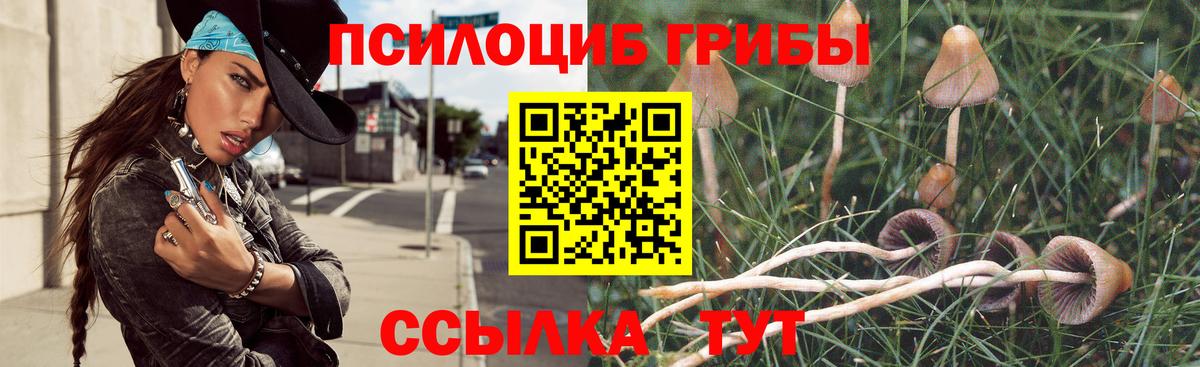 Псилоцибиновые грибы Magic Shrooms  Вход с VPN  Видное 